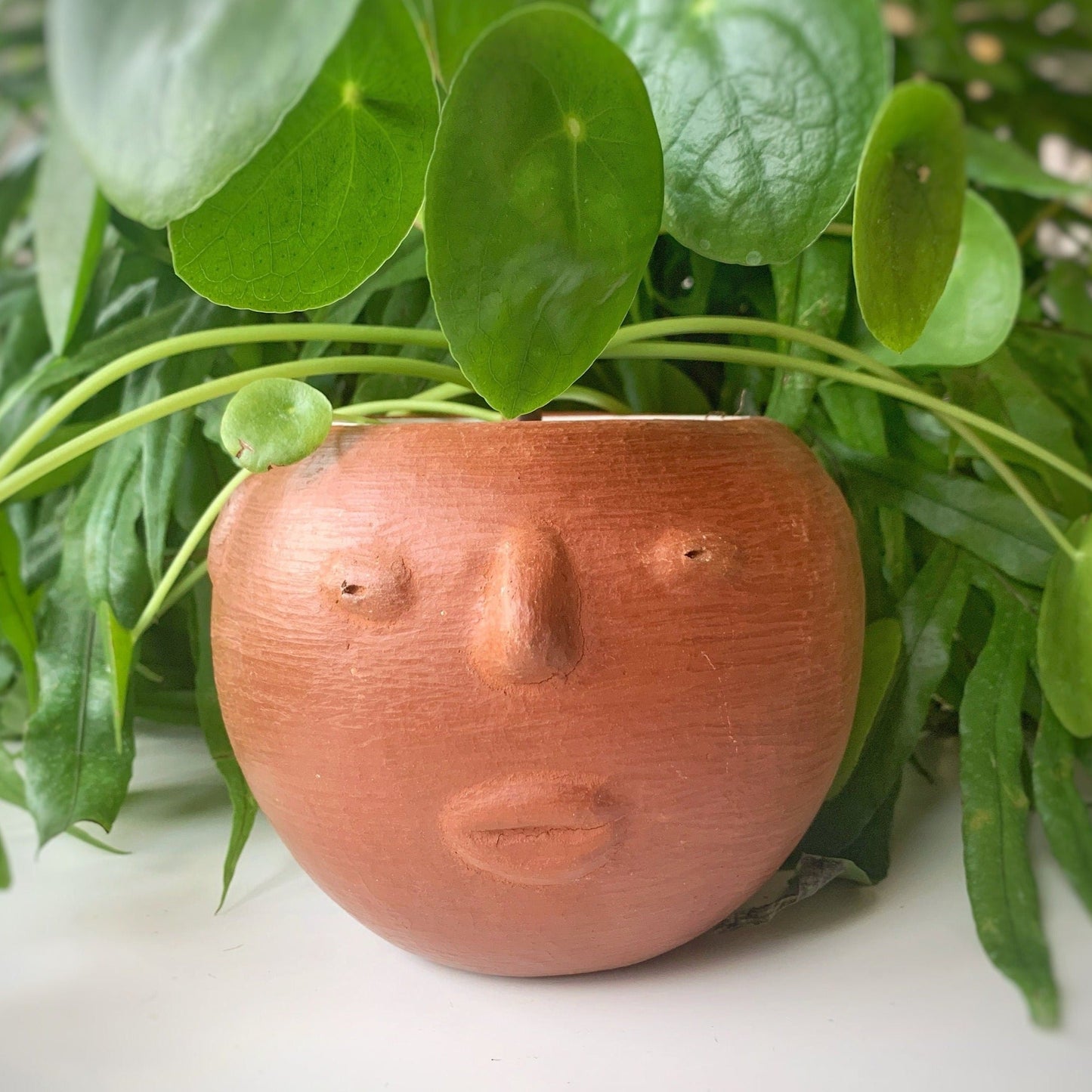 Barro Rojo Clay Face Planter