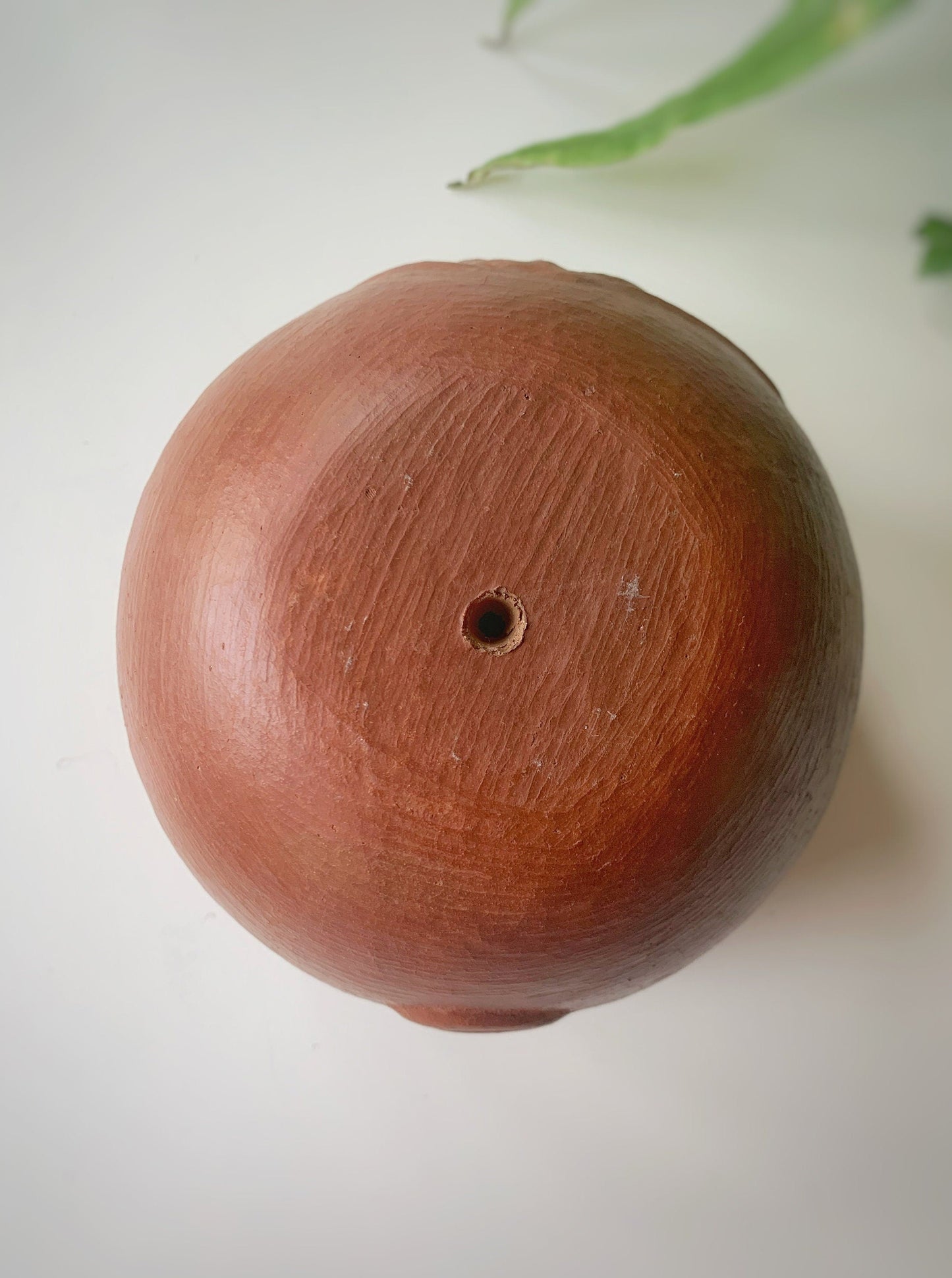 Barro Rojo Clay Face Planter