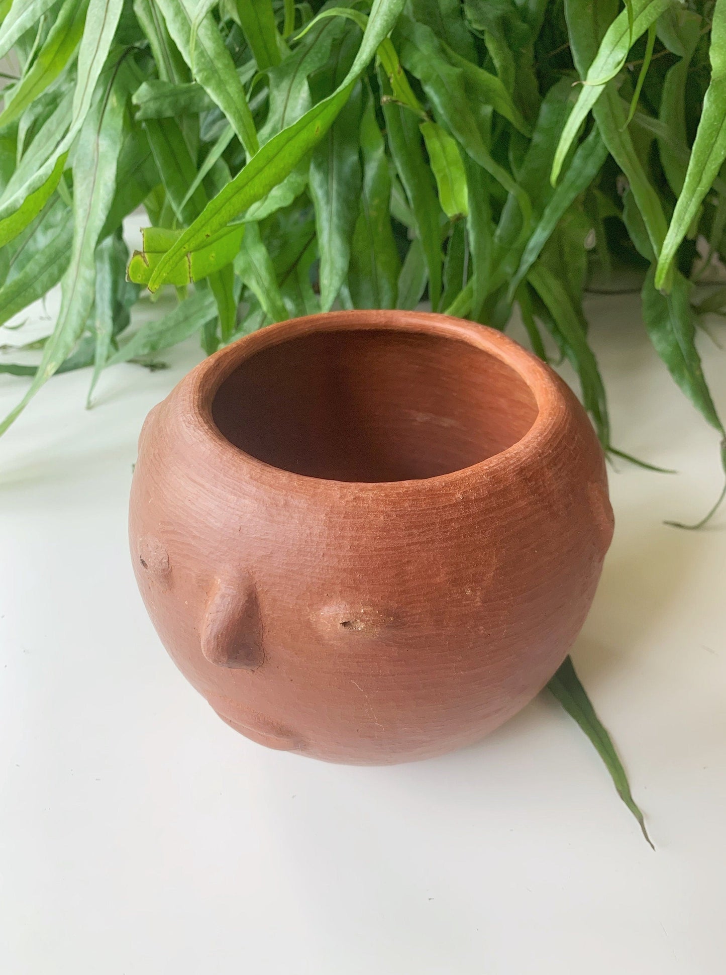 Barro Rojo Clay Face Planter