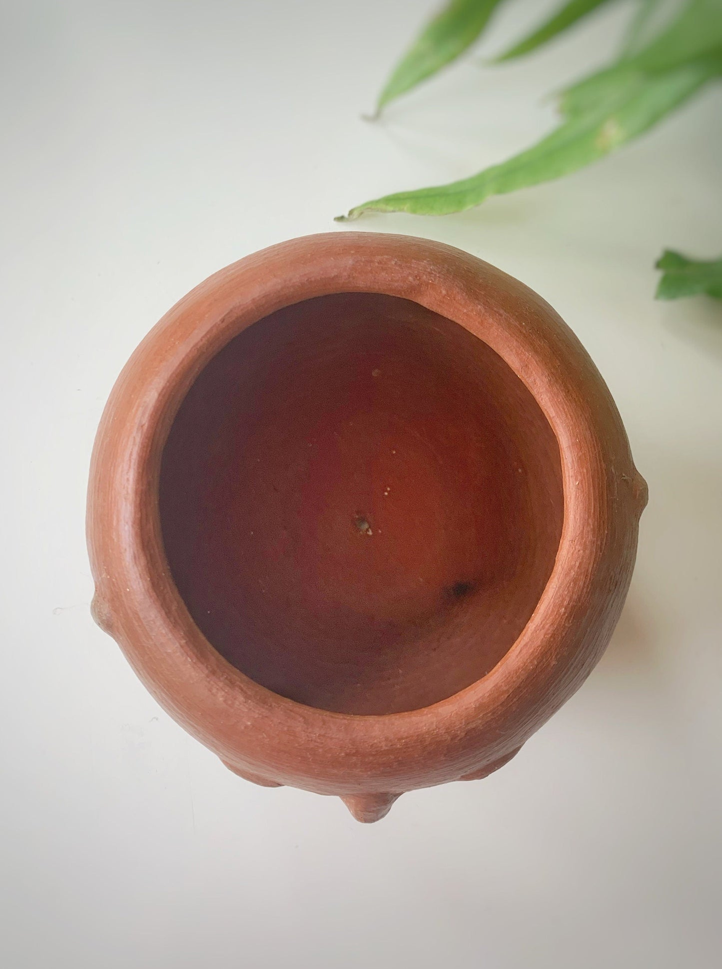 Barro Rojo Clay Face Planter