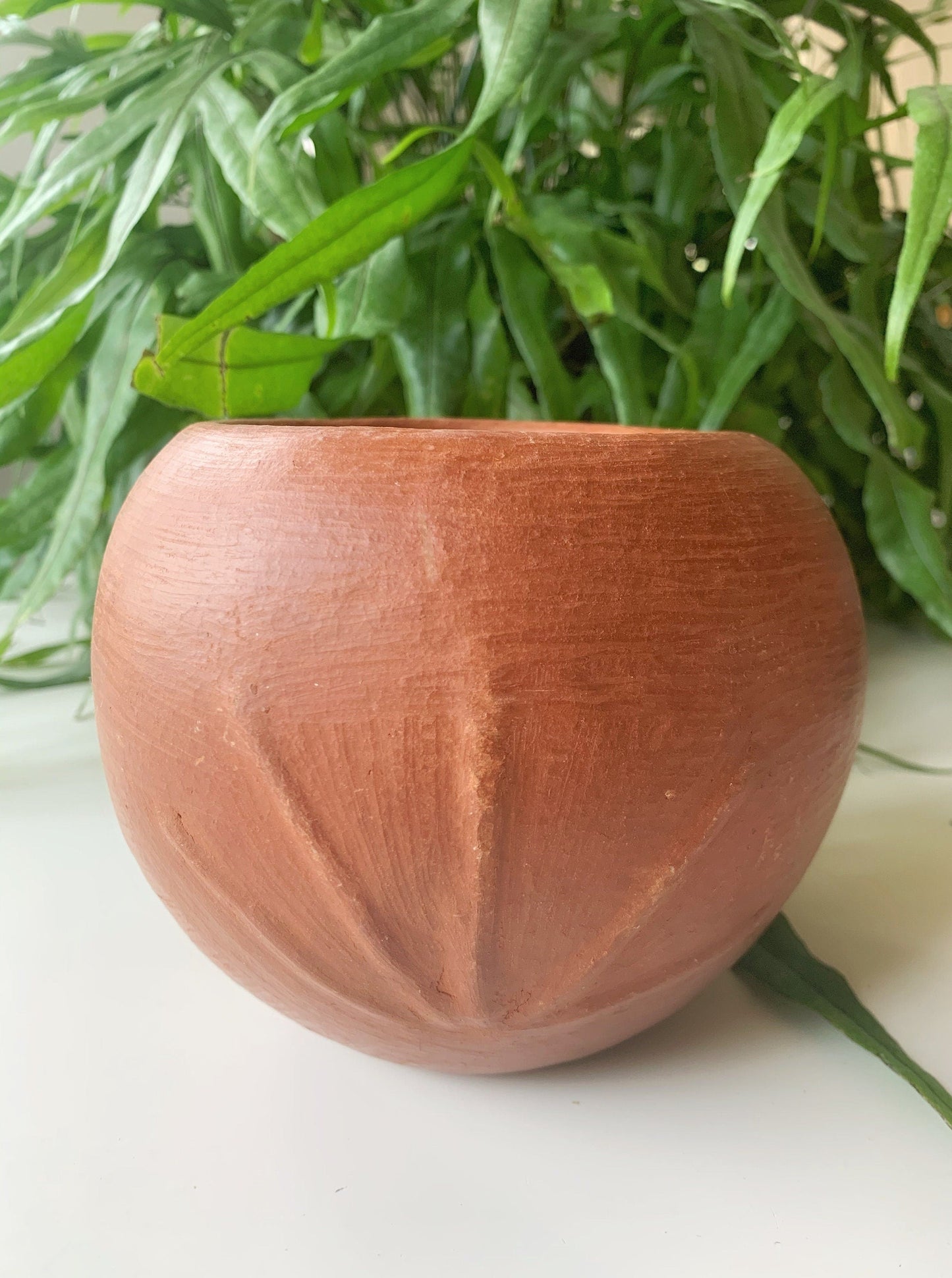 Barro Rojo Clay Face Planter