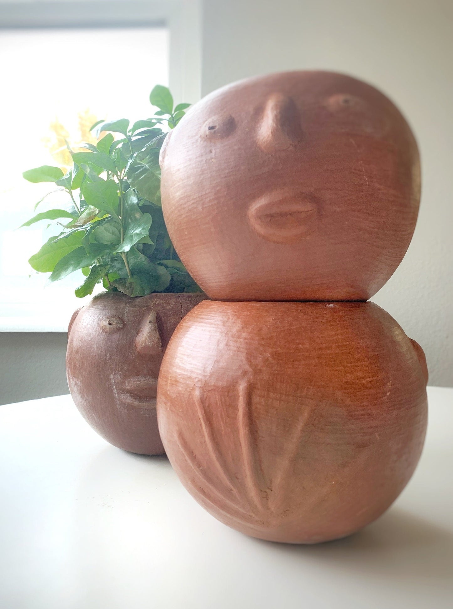 Barro Rojo Clay Face Planter