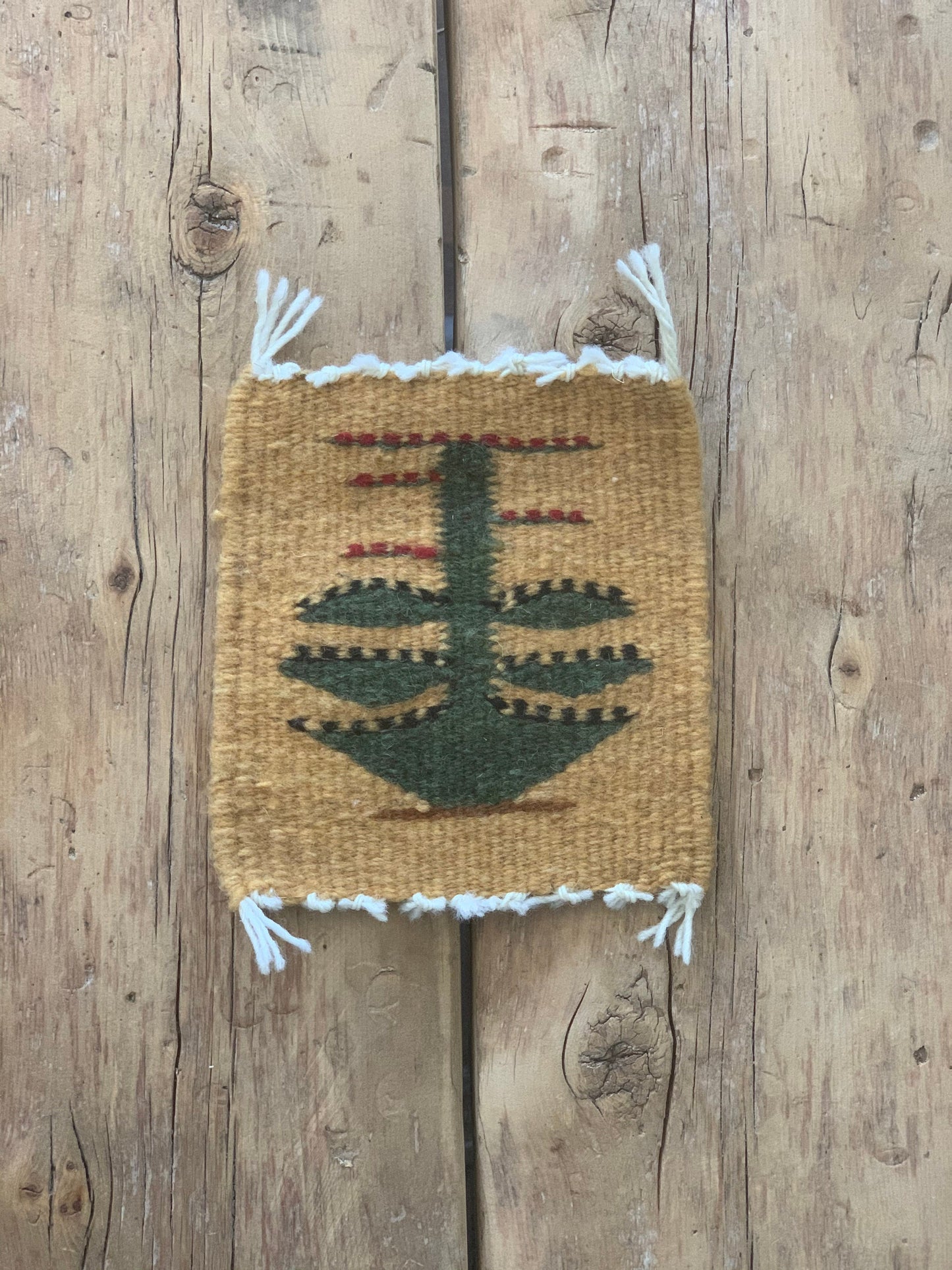 Quiote Coaster Set