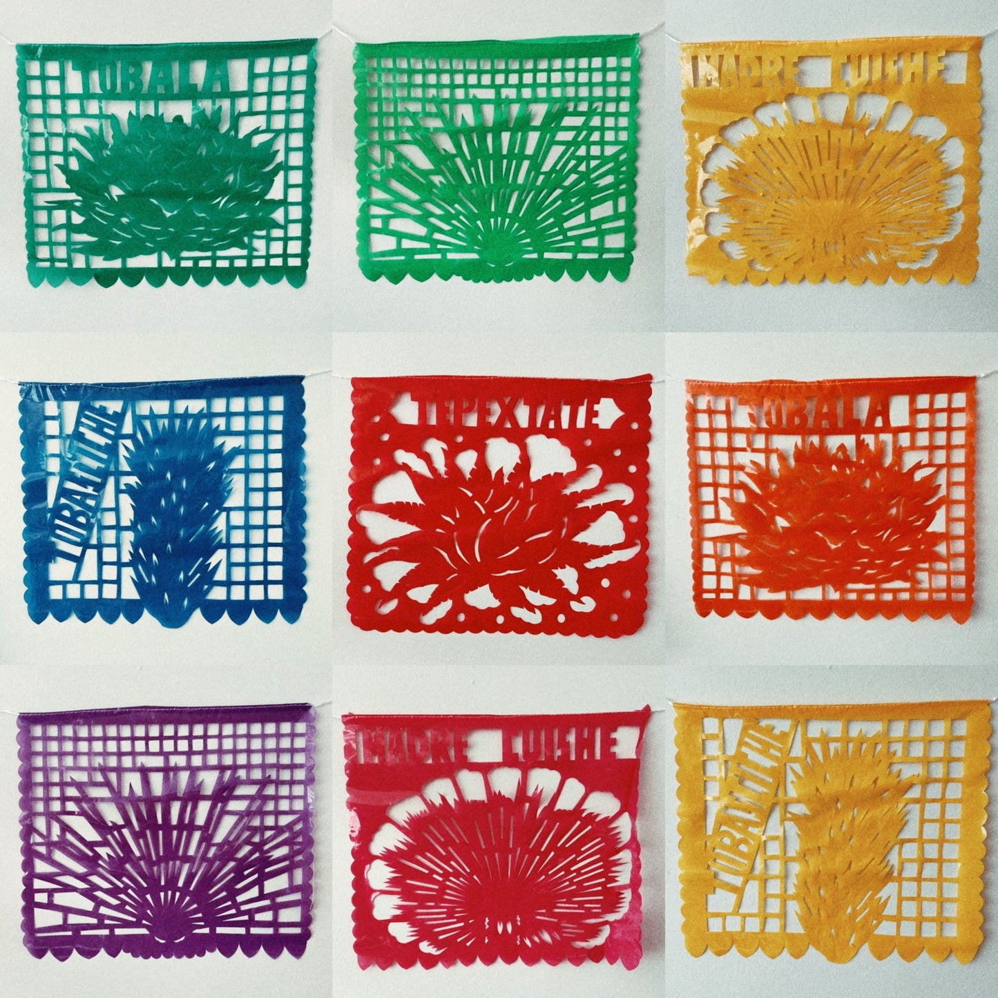 Agave Papel Picado