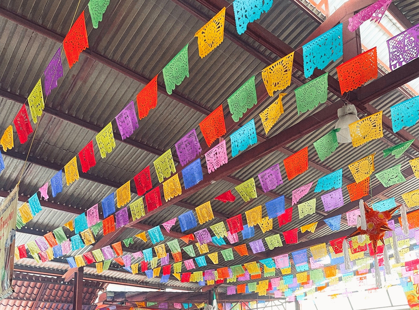 Agave Papel Picado